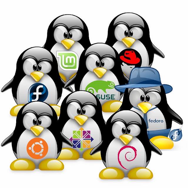 10 Website Terbaik Untuk Belajar Online Linux 2016
