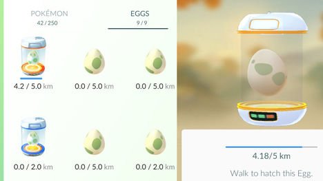 Fungsi dari Eggs di Pokemon GO